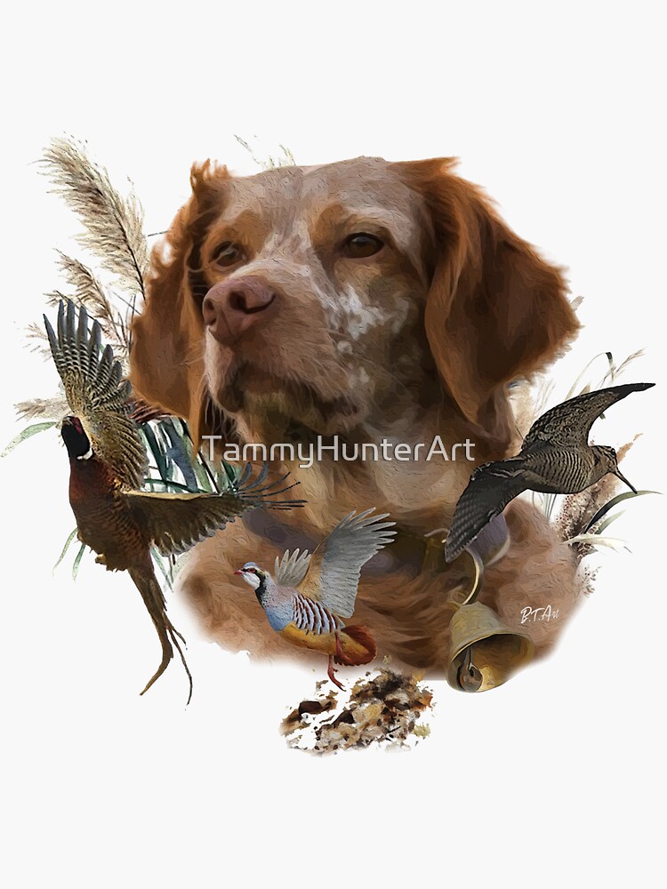 French Brittany, Bird Hunting Art Sticker for Sale by