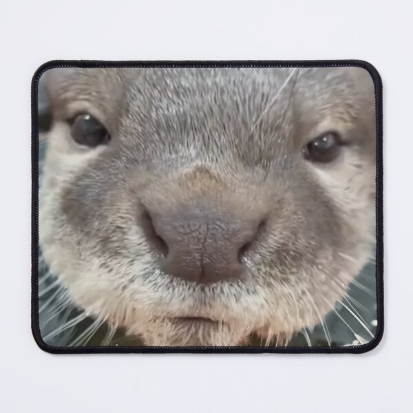 Item preview, Martha the Otter designed and sold by FunandWhimsy.