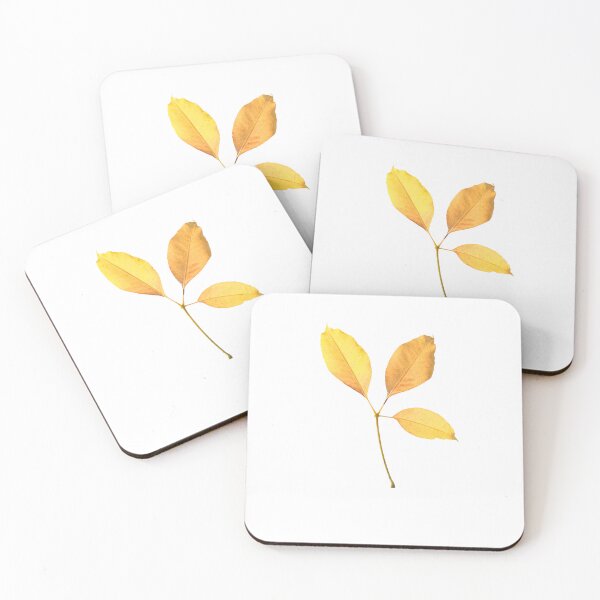 Item preview, Autumn Leaves of Shimul or Red silk-cotton (Bombax ceiba, family: Malvaceae)  yellow leaves, three leaves, leaf stackers designed and sold by MiMee4451.