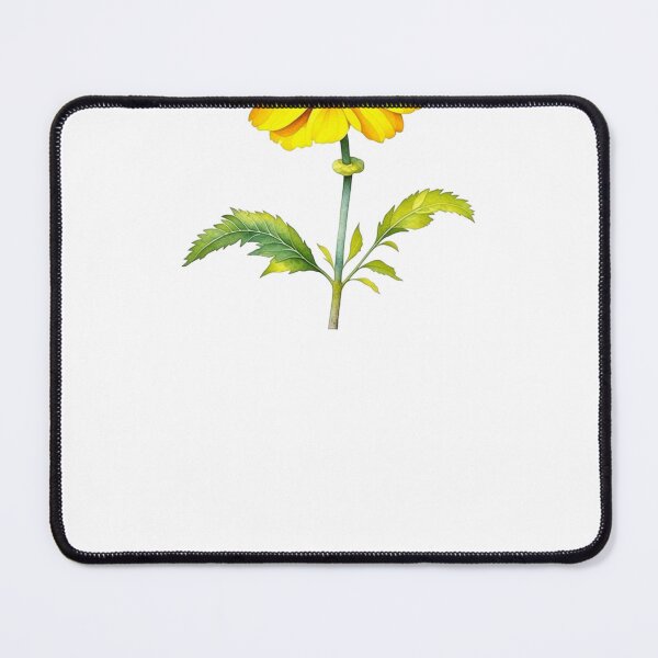 Item preview, Desert Marigold, Baileya Plant designed and sold by nicheteees.