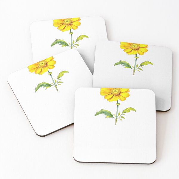 Item preview, Desert Marigold, Baileya Plant designed and sold by nicheteees.