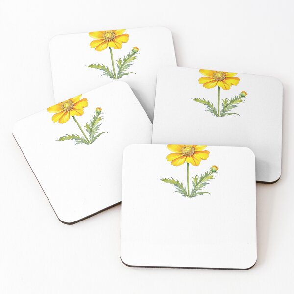 Item preview, Desert Marigold, Baileya Plant designed and sold by nicheteees.
