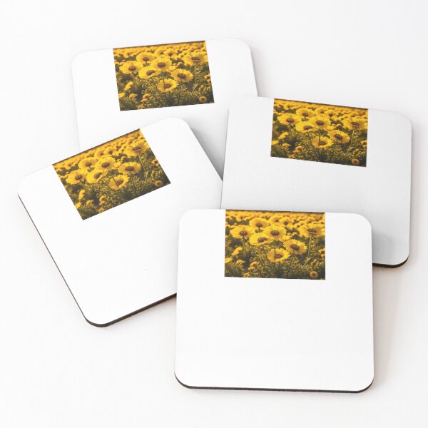 Item preview, Desert Marigold, Baileya Plant designed and sold by nicheteees.