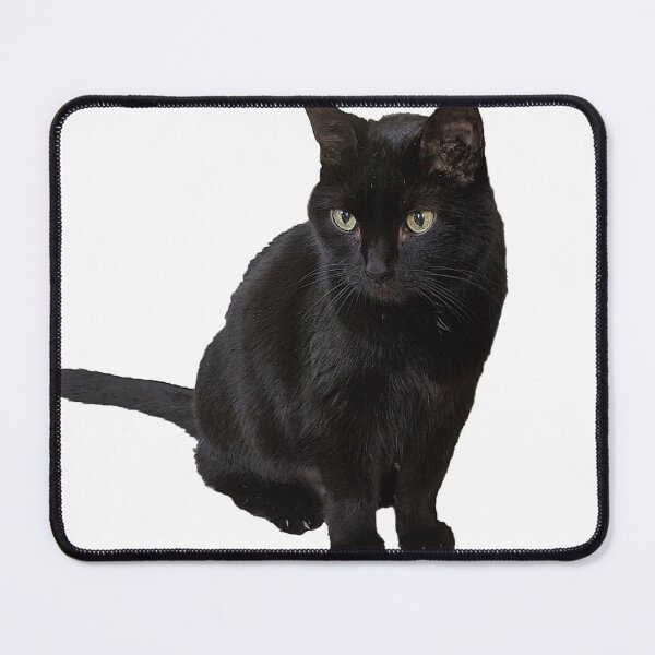 Item preview, Black Cat designed and sold by ronirosee.