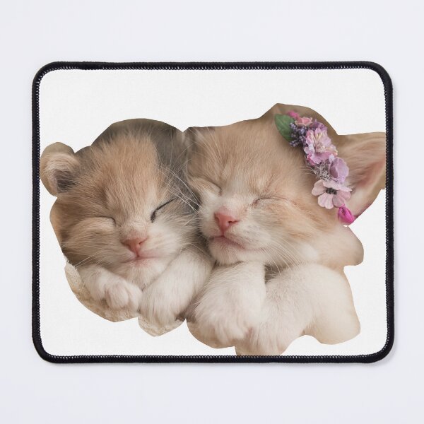 Item preview, Cute kitty siblinga designed and sold by odyseus.