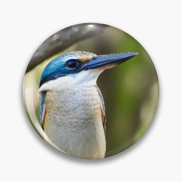 Item preview, Sacred kingfisher looks so proud designed and sold by Mark Grimsley.