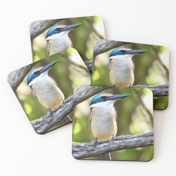 Item preview, Sacred kingfisher looks so proud designed and sold by Mark Grimsley.