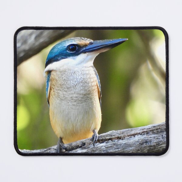 Item preview, Sacred kingfisher looks so proud designed and sold by Mark Grimsley.