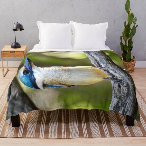 Item preview, Sacred kingfisher looks so proud designed and sold by Mark Grimsley.