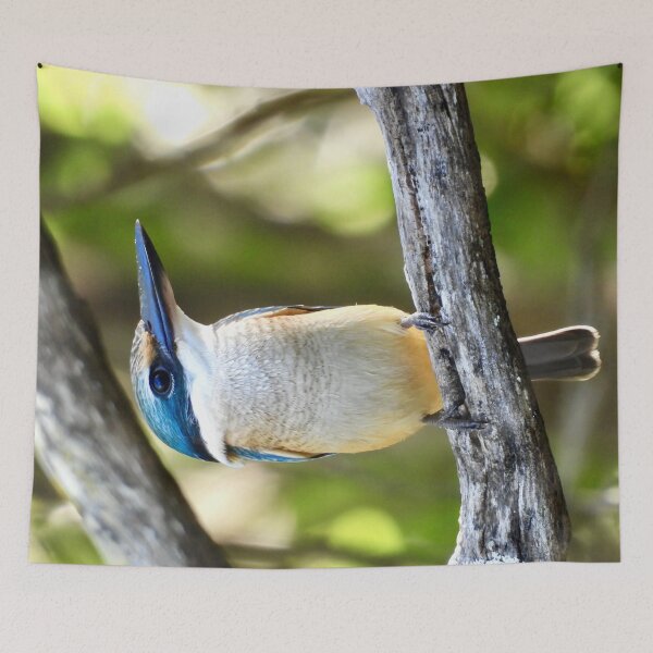 Item preview, Sacred kingfisher looks so proud designed and sold by Mark Grimsley.