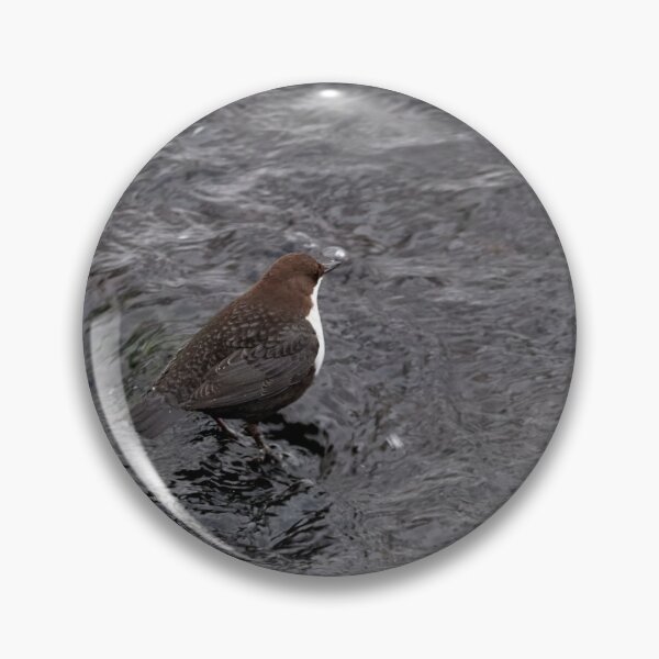 Item preview, Black waters. White-throated dipper designed and sold by Jouko Lehto Photography.
