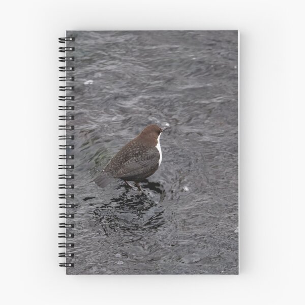 Item preview, Black waters. White-throated dipper designed and sold by Jouko Lehto Photography.