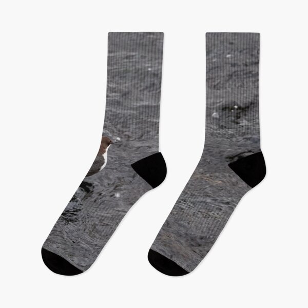 Item preview, Black waters. White-throated dipper designed and sold by Jouko Lehto Photography.