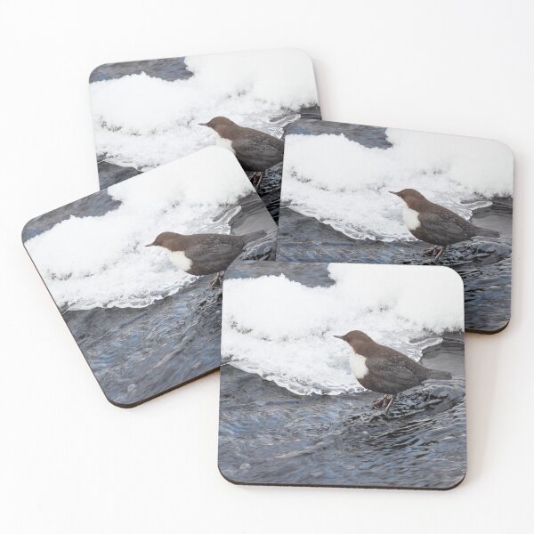 Item preview, One dipper on the rocks please. White-throated dipper designed and sold by Jouko Lehto Photography.