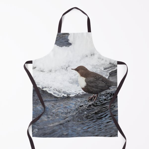 Item preview, One dipper on the rocks please. White-throated dipper designed and sold by Jouko Lehto Photography.