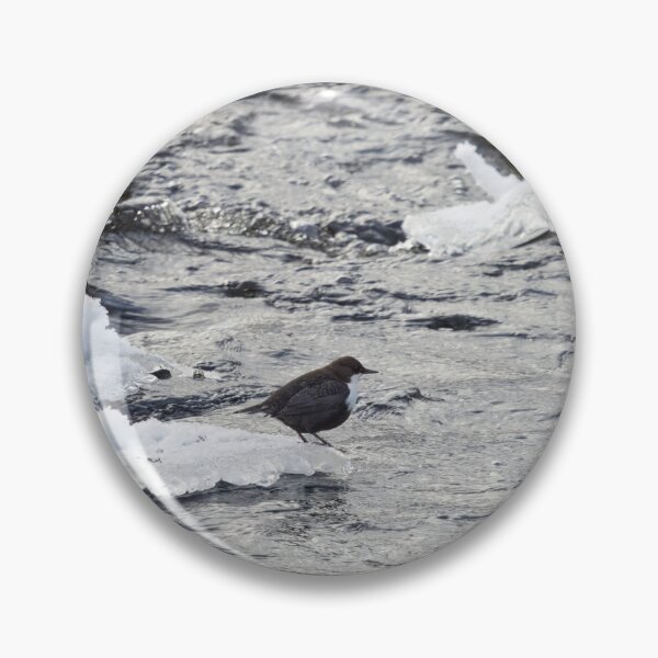 Item preview, Cooling time. White-throated dipper designed and sold by Jouko Lehto Photography.