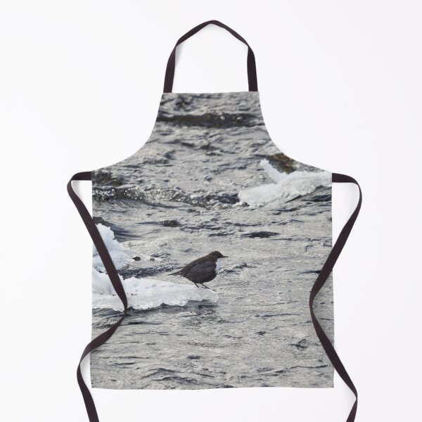 Item preview, Cooling time. White-throated dipper designed and sold by Jouko Lehto Photography.