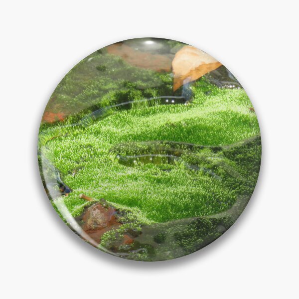 Item preview, Moss in water designed and sold by greentiger1.