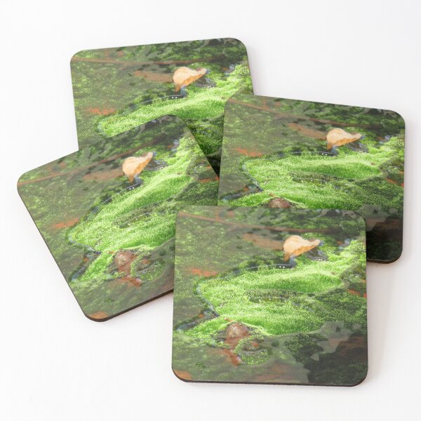 Item preview, Moss in water designed and sold by greentiger1.