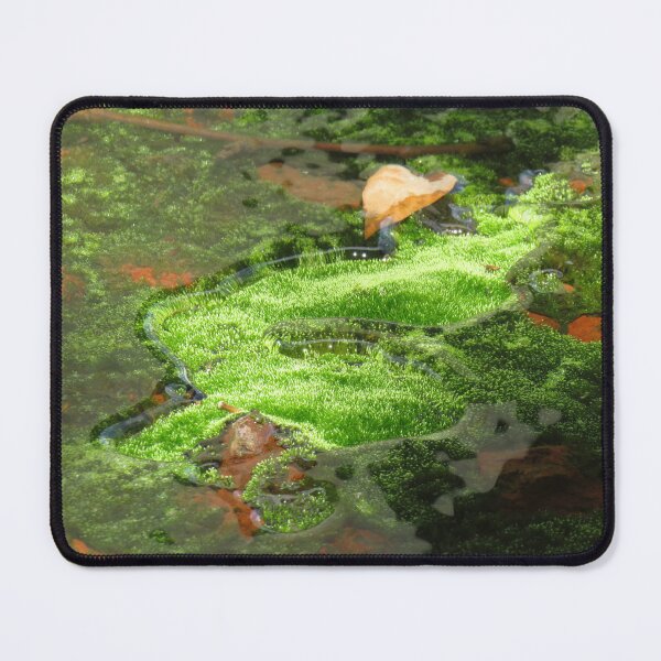 Item preview, Moss in water designed and sold by greentiger1.