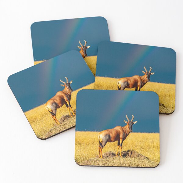 Item preview, Rainbow over the Masai Mara savannah in Kenya, Topi Gazelle designed and sold by Ingo Gerlach.