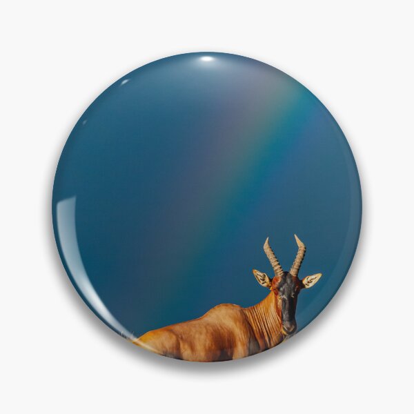 Item preview, Rainbow over the Masai Mara savannah in Kenya, Topi Gazelle designed and sold by Ingo Gerlach.