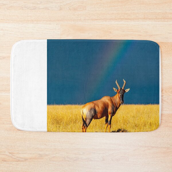 Item preview, Rainbow over the Masai Mara savannah in Kenya, Topi Gazelle designed and sold by Ingo Gerlach.