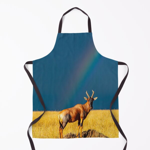 Item preview, Rainbow over the Masai Mara savannah in Kenya, Topi Gazelle designed and sold by Ingo Gerlach.