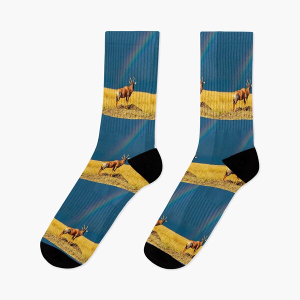 Item preview, Rainbow over the Masai Mara savannah in Kenya, Topi Gazelle designed and sold by Ingo Gerlach.