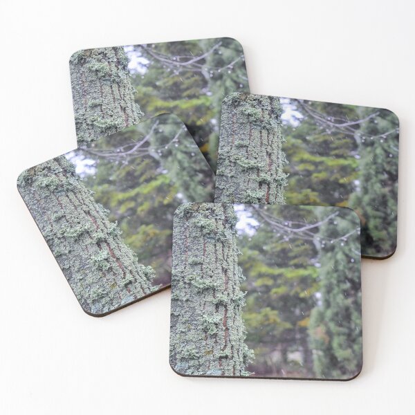 Item preview, Forest Fantasy designed and sold by Anastasia Kaneva.
