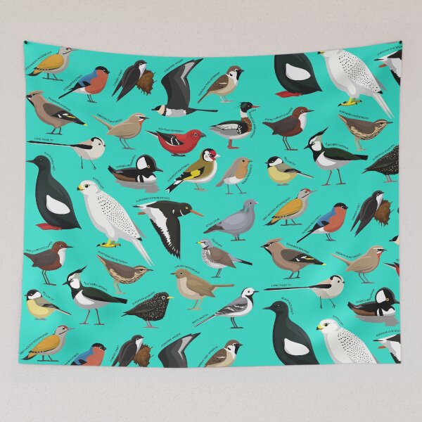 Item preview, European Birds with Name Collection Set 1 designed and sold by SUPERHERON.