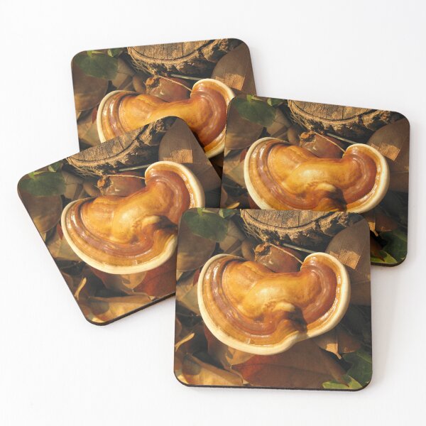 Item preview, Mushrooms on an old log. designed and sold by Wednesday Art design .