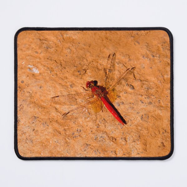 Item preview, Flying Chili Pepper designed and sold by Ray's Photos & Art.