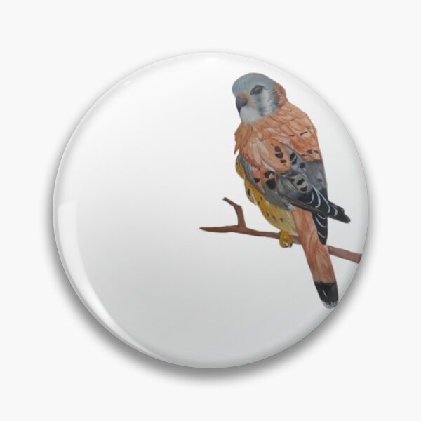 Item preview, O falcão-americano designed and sold by CanindeStore.