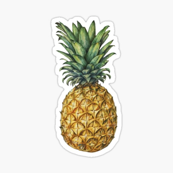 Pineapple Sticker
