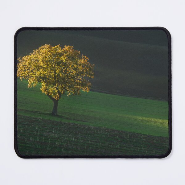Item preview, Lonely tree in Tuscany, autumn landscape. Italy designed and sold by Stefano Orazzini.