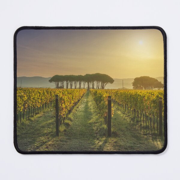 Item preview, Bolgheri vineyard and pine trees. Tuscany, Italy designed and sold by Stefano Orazzini.
