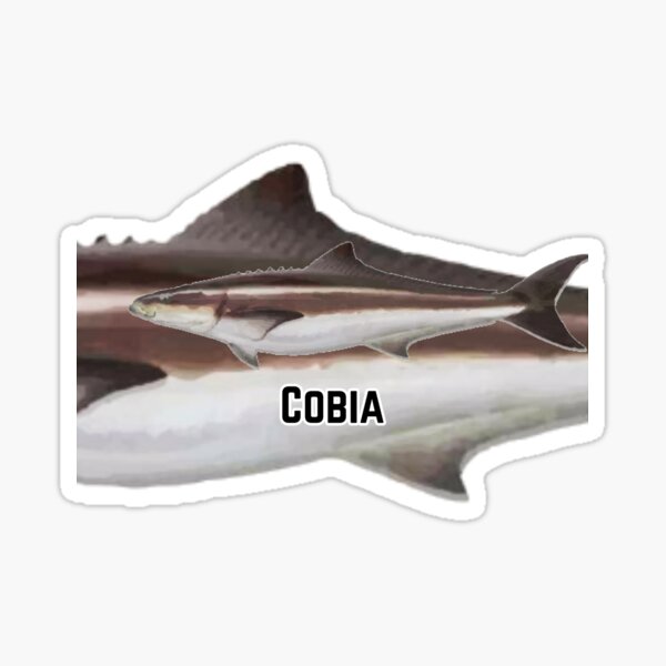 Vista previa del artículo con la obra «Pesca del pez rey negro Cobia», diseñado y vendido por Reelyfishing.