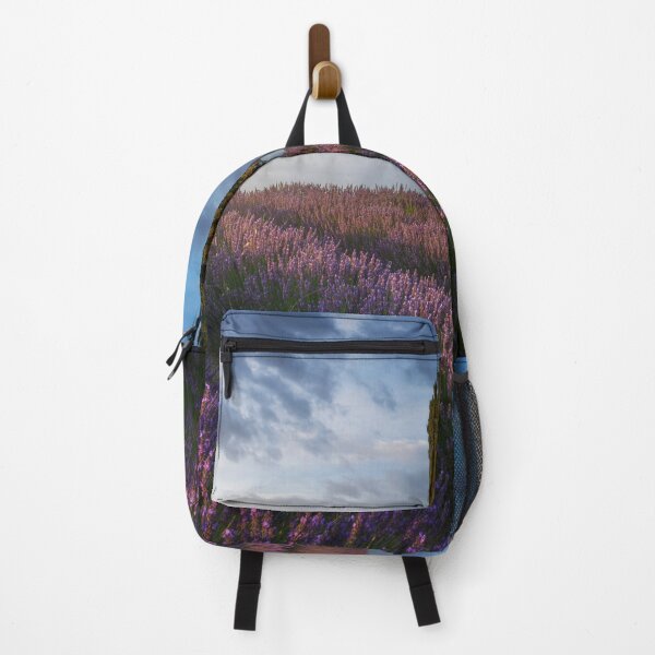 Item preview,  Lavender fields and cypress tree. Tuscany, Italy designed and sold by Stefano Orazzini.