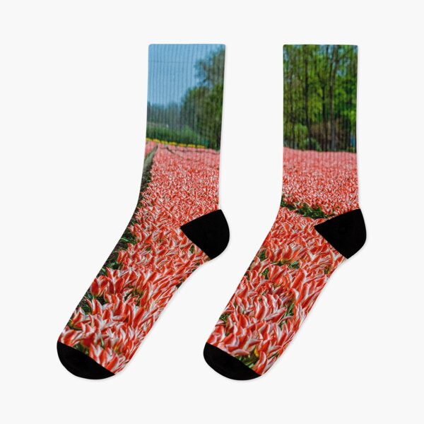 Item preview, Red and white tulips designed and sold by Photopat.