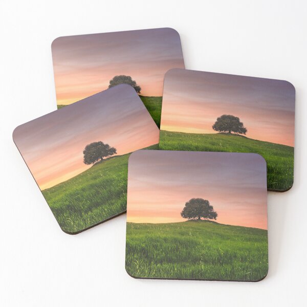 Item preview, Holm oak on top of the hill at sunset. Crete Senesi, Tuscany designed and sold by Stefano Orazzini.