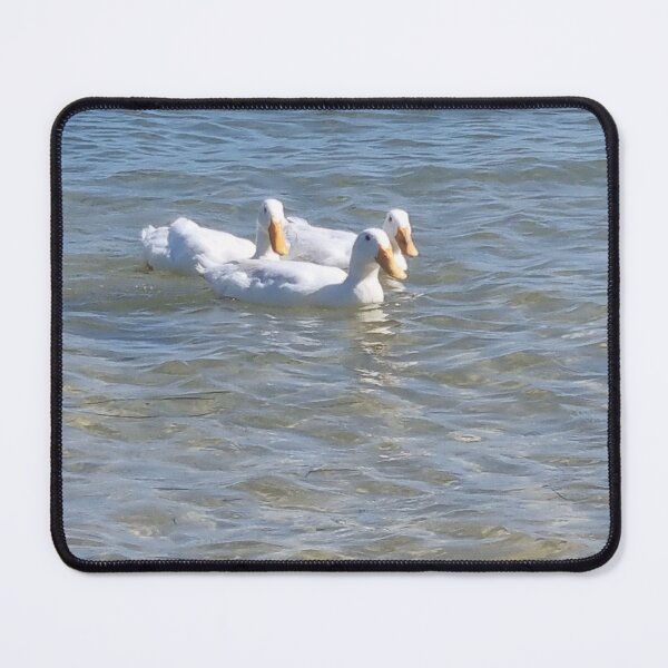 Item preview, BEACH LIFE Pekin Ducks designed and sold by Reelyfishing.