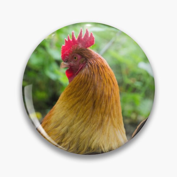 Item preview, of the roost designed and sold by cactusdandy.