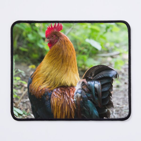 Item preview, of the roost designed and sold by cactusdandy.