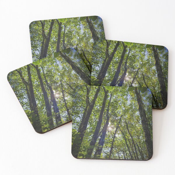 Item preview, Sunlight Through The Canopy designed and sold by Graz-Photos.