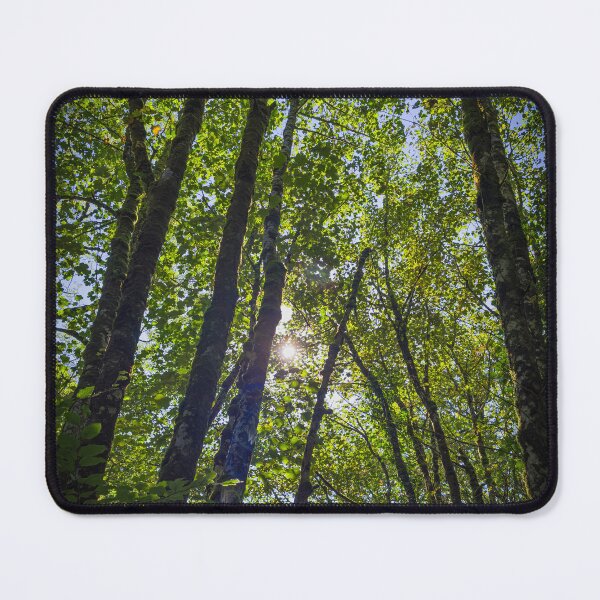 Item preview, Sunlight Through The Canopy designed and sold by Graz-Photos.
