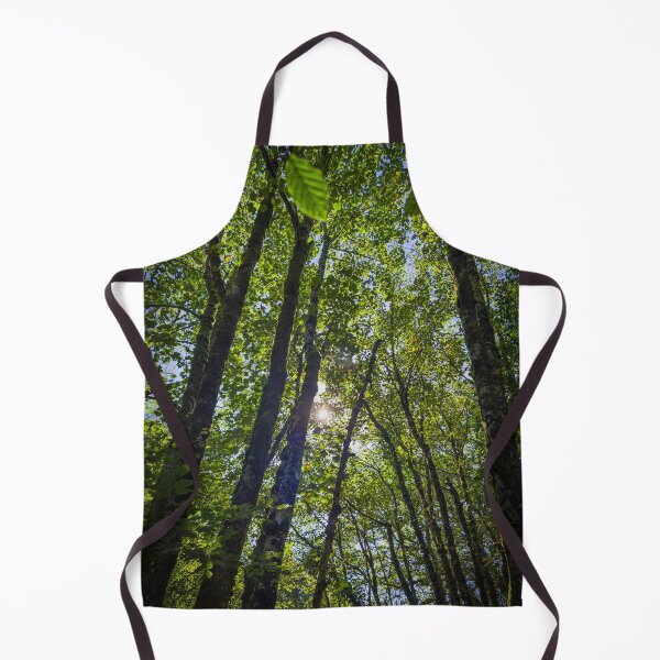 Item preview, Sunlight Through The Canopy designed and sold by Graz-Photos.