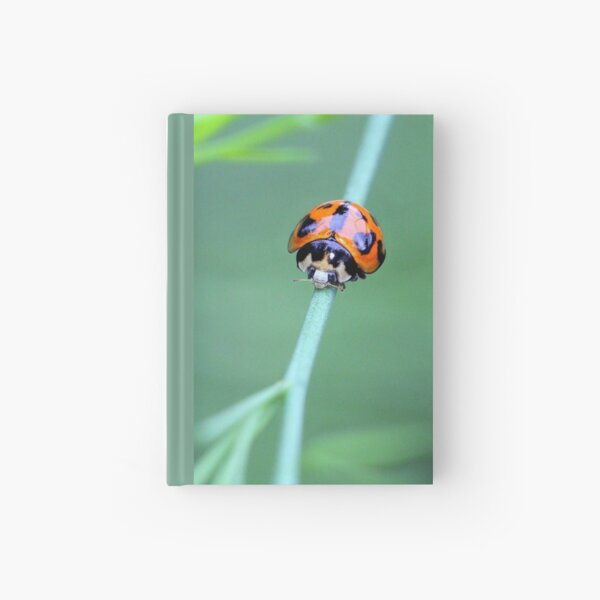 Little Ladybird Beetle Hardcover Journal