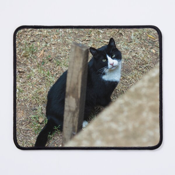 Item preview, Looking designed and sold by cactusdandy.