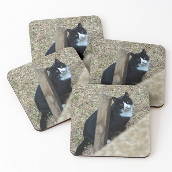 Item preview, Looking designed and sold by cactusdandy.